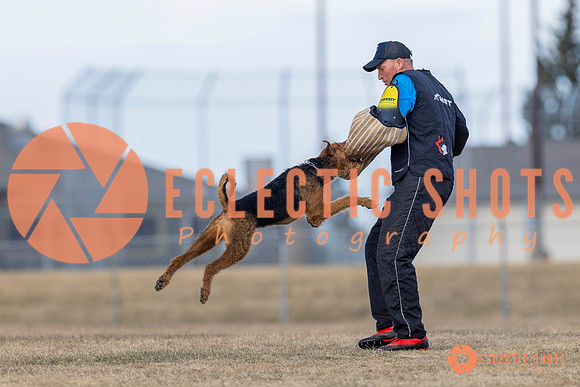 K9Force11.2025-6193