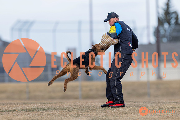 K9Force11.2025-6192