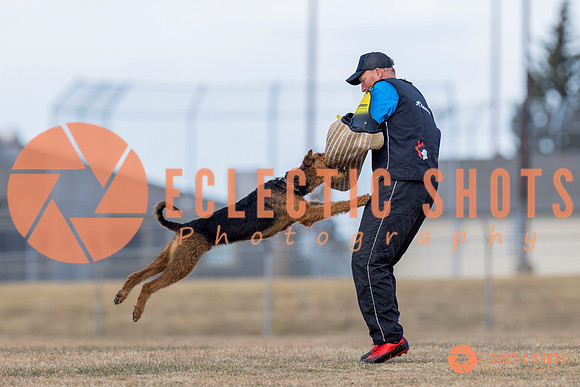 K9Force11.2025-6195