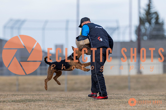 K9Force11.2025-6198