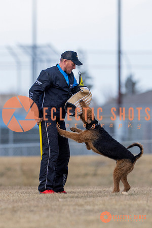 K9Force11.2025-6235