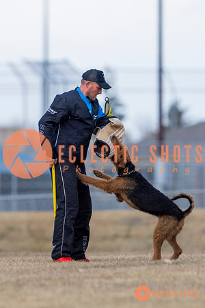 K9Force11.2025-6237