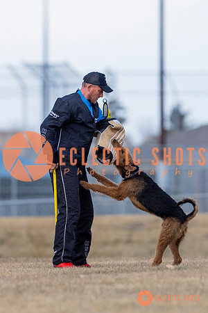 K9Force11.2025-6239