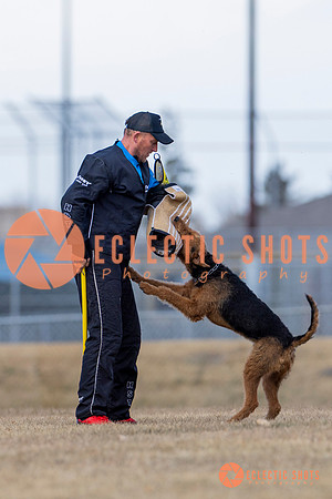 K9Force11.2025-6241