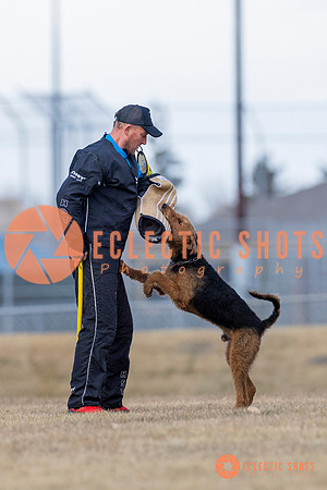 K9Force11.2025-6243