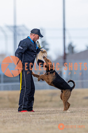 K9Force11.2025-6245