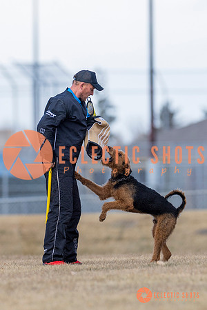 K9Force11.2025-6247