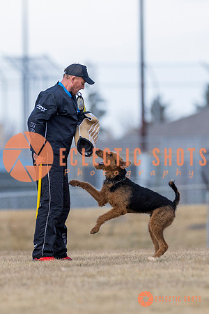 K9Force11.2025-6249