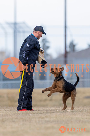 K9Force11.2025-6253