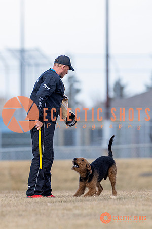 K9Force11.2025-6267