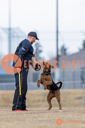 K9Force11.2025-6271