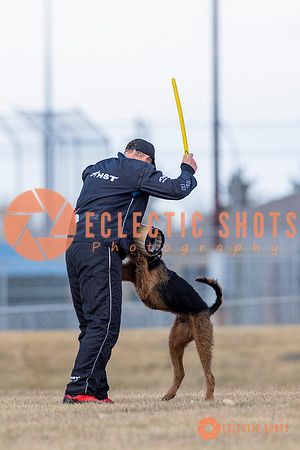 K9Force11.2025-6276