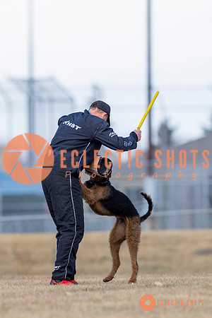 K9Force11.2025-6278