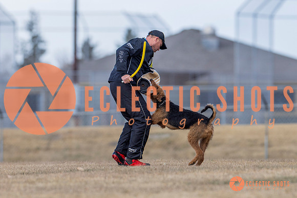 K9Force11.2025-6286