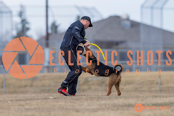 K9Force11.2025-6284