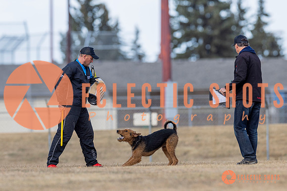 K9Force11.2025-6300