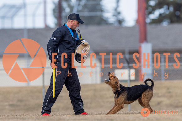 K9Force11.2025-6307