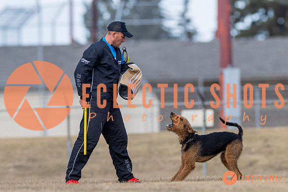 K9Force11.2025-6306