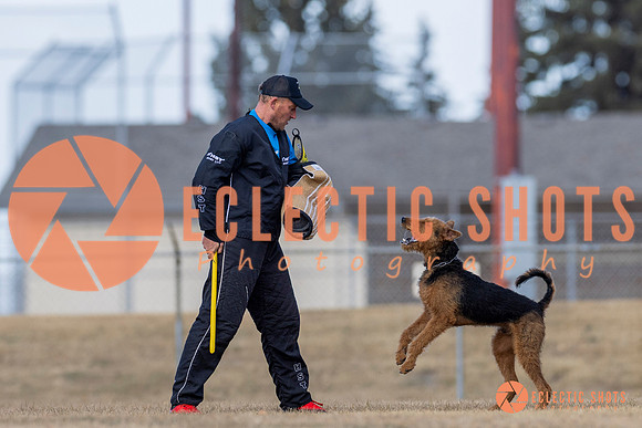 K9Force11.2025-6312
