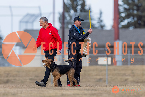 K9Force11.2025-6322