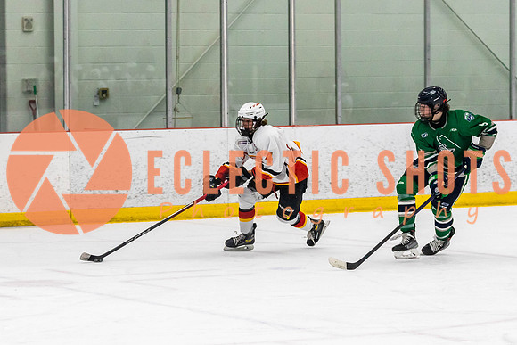 2022.11.09CalFlames-FVTBirds-0395