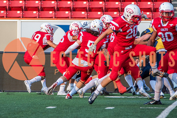 CalgaryColts-2541