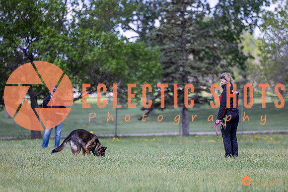 2025-K9Force-MayExams-Kaia-7502
