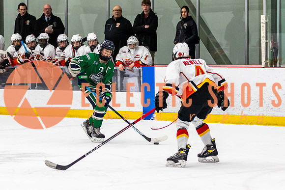 2022.11.09CalFlames-FVTBirds-0299