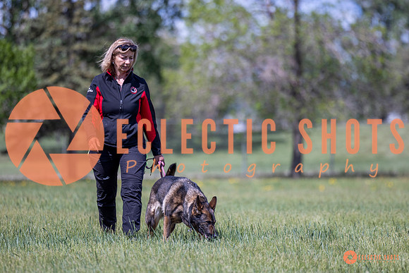 2025-K9Force-MayExams-Kaia-7542