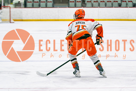 RMC2025.11.13-Anaheim-Flames-41