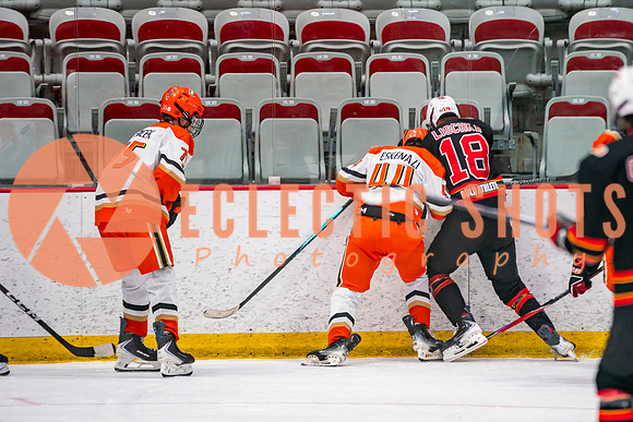 RMC2025.11.13-Anaheim-Flames-320