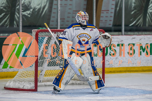 RMC2025.11.13-Royals-NEWolfpack-1