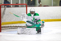 Game 11 - Dallas Stars vs SAHA