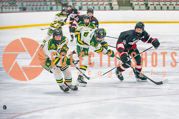 2025.11.13-RMC-Humboldt-CalgaryBisons-66