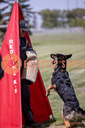 2025-K9Force-MayExams-7164