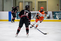 Game 19 - OHA Edmonton vs Anaheim Jr Ducks