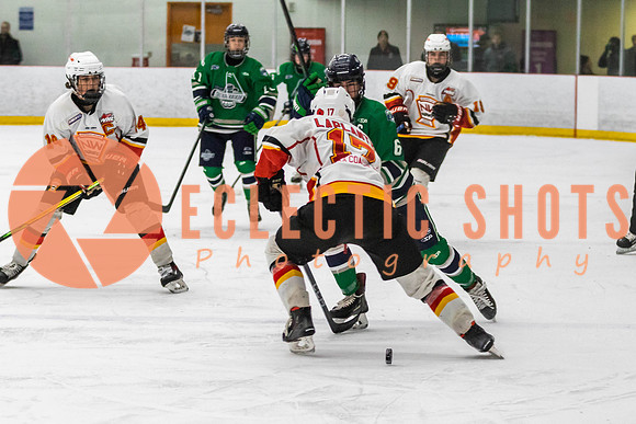 2022.11.09CalFlames-FVTBirds-0535
