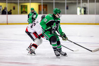 Game 24 - Calgary Bisons vs Dallas Stars