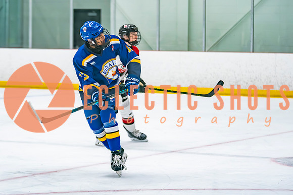 2025.11.14-RMC-Brantford-CRoyals-138