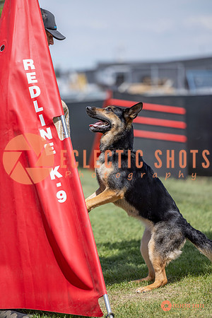 2025-K9Force-MayExams-7191