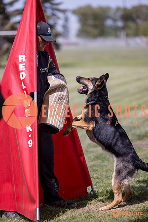 2025-K9Force-MayExams-7179