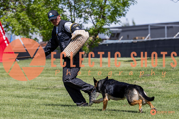 2025-K9Force-MayExams-7223