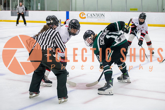 2025.11.15-Bisons-SherwoodPark-31