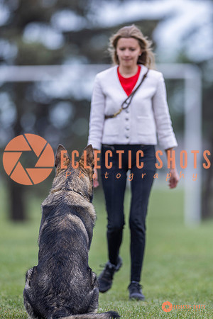 2025-K9Force-MayExams-5979