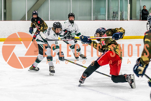 2022.11.11ShPkFlyers-VWGiants-3334