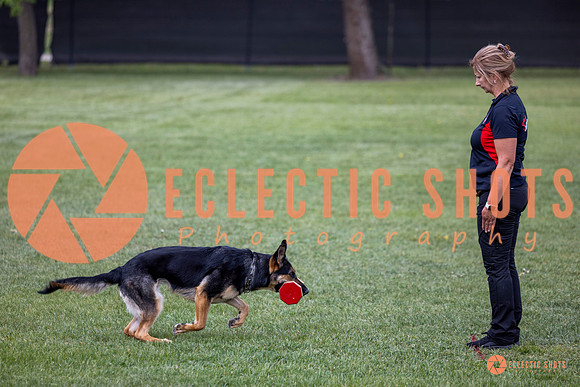 2025-K9Force-MayExams-6185
