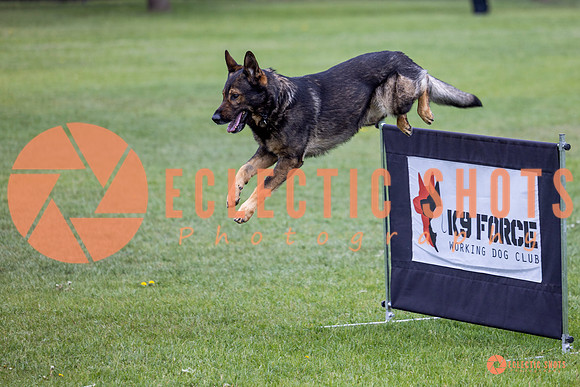 2025-K9Force-MayExams-5587