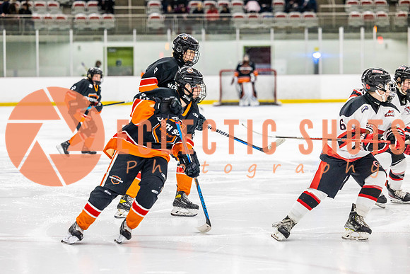 2022.11.10CalBisons-NSWarriors-2787