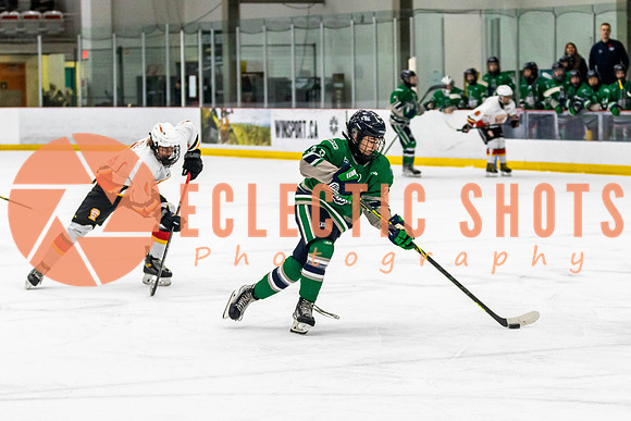 2022.11.09CalFlames-FVTBirds-0285