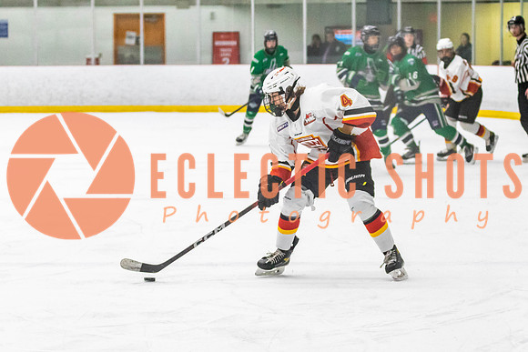 2022.11.09CalFlames-FVTBirds-0538